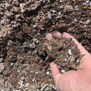 خاک سبک مخصوص بام سبز (1 متر مکعب)